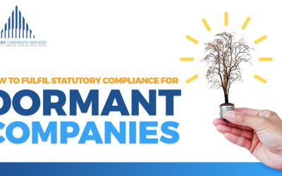 SCS Accounting – How to Fulfil Statutory Compliance for Dormant Companies