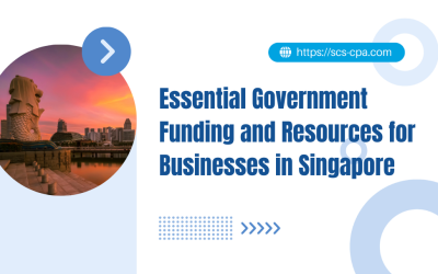 Essential Government Funding and Resources for Businesses in Singapore
